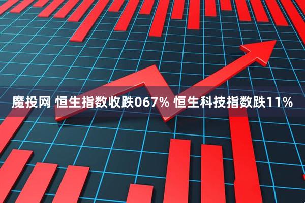魔投网 恒生指数收跌067% 恒生科技指数跌11%