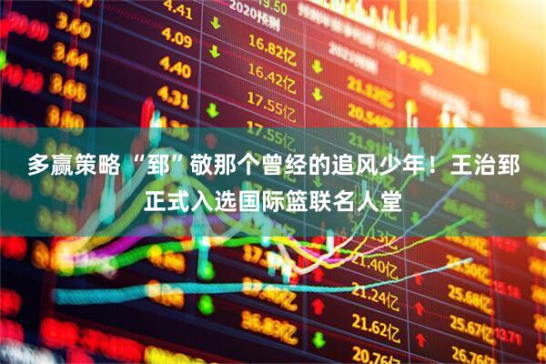 多赢策略 “郅”敬那个曾经的追风少年！王治郅正式入选国际篮联名人堂